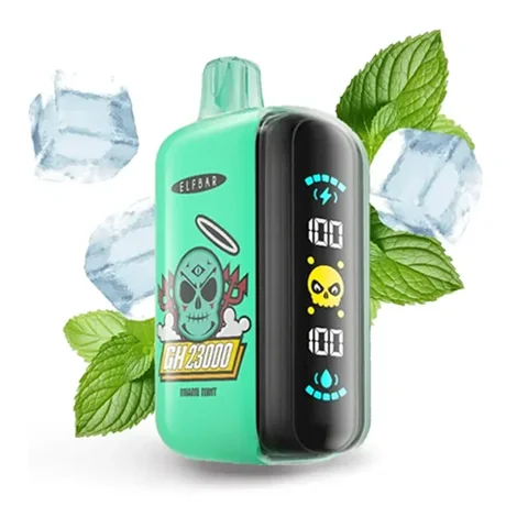 ElfBar GH23000 23K Puffs - Miami Mint