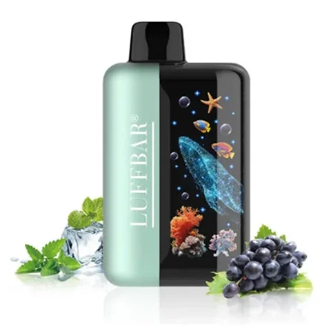 LuffBar Flare 55K Fruity Cool Grape Menthol vaper descartable recargable